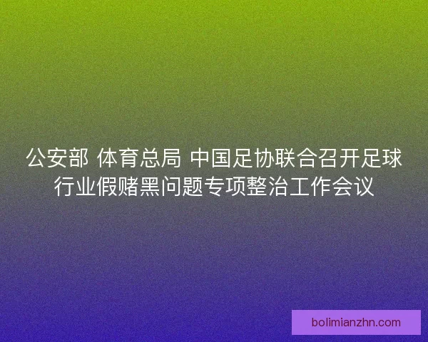 公安部 体育总局 中国足协联合召开足球行业假赌黑问题专项整治工作会议